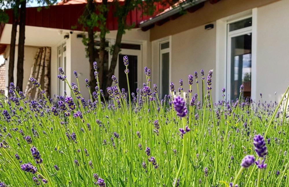 Ferienwohnung Dioliget Ohid Exterior foto