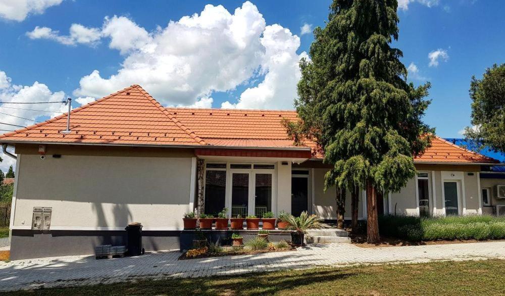 Ferienwohnung Dioliget Ohid Exterior foto
