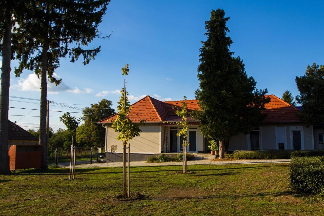 Ferienwohnung Dioliget Ohid Exterior foto